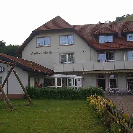 Hotel Roessle *